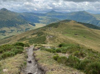 Tocht Stappen Lavigerie - Puy de Niermont et plateau du Limon  - Photo