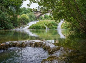 Tocht Te voet Monteriggioni - IT-1 - Photo