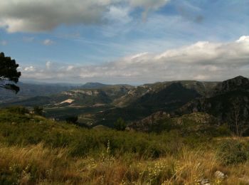 Tocht Te voet Gandia - Senda de la Cova del Parpalló - Photo