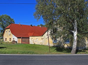 Percorso A piedi Kamenice nad Lipou - NS Vítězslava Nováka - Photo