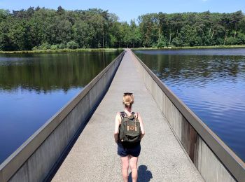 Percorso Marcia Genk - Promenade vers la piste dans l'eau, dans le magnifique domaine de Bokrijk  - Photo