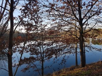 Randonnée Marche Lamagistère - Coupet retenue canal lac bleu - Photo