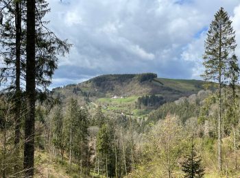 Randonnée Marche Cornimont - Col du Brabant - croix Louis par Mansuy et Boulaite - Photo