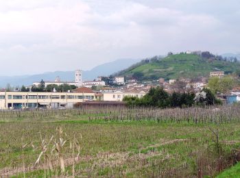 Tocht Te voet Lucca - Variante Nord Via Francigena - Photo