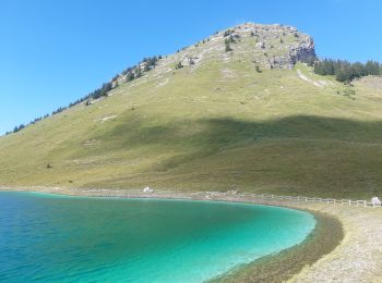 Randonnée Marche Verchaix - col du jour plane . la bourgeoise . pointe d angolon  . nyon du crot . col de joux  plane  - Photo