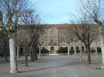 Randonnée A pied Roujan - Roujan - Abbaye de Cassan - Photo