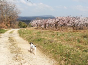 Randonnée Marche Saint-Jean-de-Ceyrargues - St Jean de Ceyrargue-St Cesaire de Gauzignan - Photo