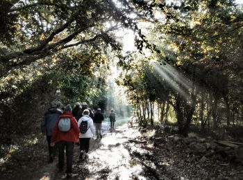 Tocht Stappen Royan - Jaffe 17  (9km4) - Photo