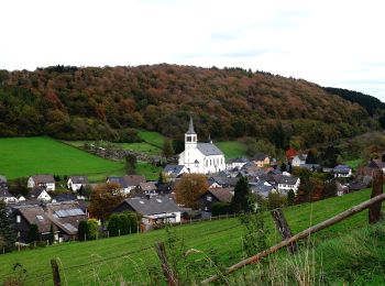 Tocht Te voet Meschede - Kapellen-Rundweg Calle - Photo