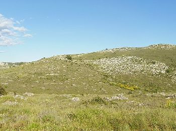 Tocht Te voet Vence - Circuit des Blaquières - Photo