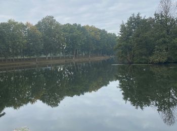 Trail Walking Puurs-Sint-Amands - Kalfort-Puursica - Photo