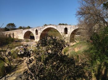 Percorso Bici da strada Ménerbes - 84 menerbes saignon Apt voie verte - Photo