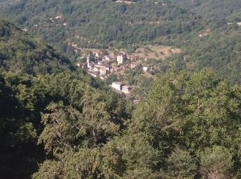 Randonnée Vélo électrique Saint-Rome-de-Tarn - Viala ladepeyre vernhette marzial - Photo