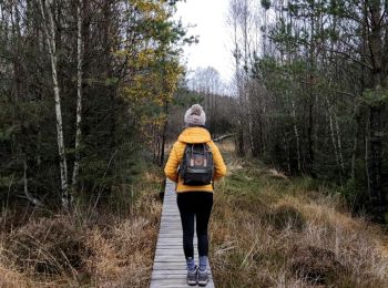 Tocht Stappen Gouvy - Promenade vers la réserve naturelle 