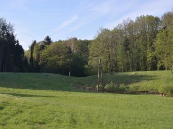 Tocht Te voet Altlengbach - Altlengbach Rundwanderweg 1 - Photo