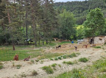 Tocht Stappen Andon - L'Audibergue du Pont du Loup - Photo