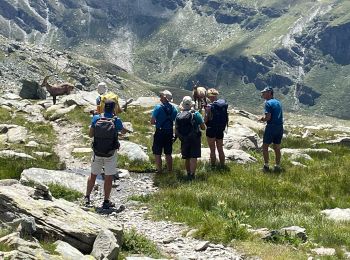 Tocht Stappen Abriès-Ristolas - Traversette - Photo