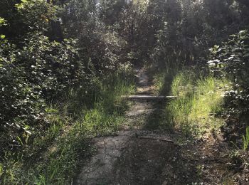 Randonnée V.T.T. Prades-le-Lez - Balade à Jacou  - Photo