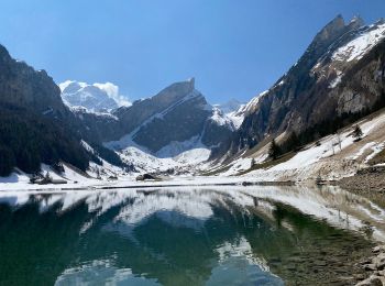 Percorso A piedi Schwende - Altenalp - Öhrligrueb - Photo