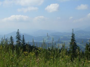 Tocht Te voet St. Radegund - Hubertusrunde - Photo