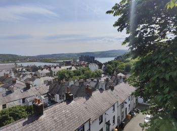 Tocht Stappen  - Visite du château de Conwy et des remparts  - Photo