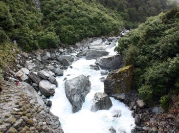 Trail On foot  - Wills Hut - Photo