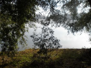 Percorso Marcia Sotteville-sous-le-Val - 20211012-Sotteville Sous Le Val  Cool - Photo