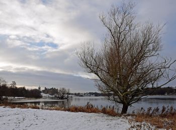 Trail On foot  - Linlithgow Loch Circular - Photo