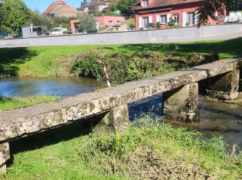 Tour Nordic Walking Colombier - colombier - Photo