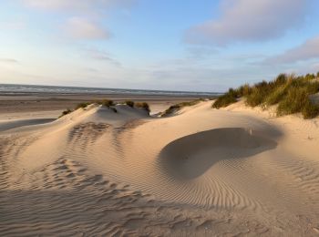 Trail Walking Koksijde - 79.114 Oostduinkerke - Cottage - Photo
