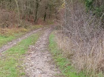 Tocht Mountainbike Saint-Clément - sortie vtt 13122020 Mont sur Meurthe  - Photo