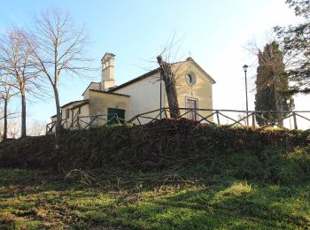 Percorso A piedi Bucine - IT-41A - Photo