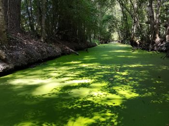 Tocht Kanoën - kajakken Arçais - bief gariguette - Photo