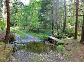 Randonnée A pied Neusorg - Neusorg Rundweg 3 - Photo