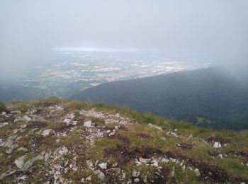 Excursión Senderismo Lélex - lelex mijou Colomby de gex - Photo