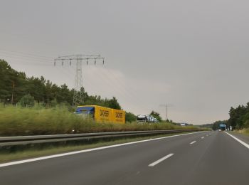 Tour Zu Fuß Teupitz - Rundwanderweg Nikolassee - Photo