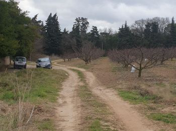 Randonnée Marche Loupian - ballade cambellies  - Photo