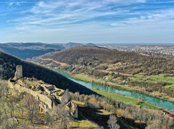 Trail On foot Montfaucon - Sentier du Fort et des Batteries - Photo