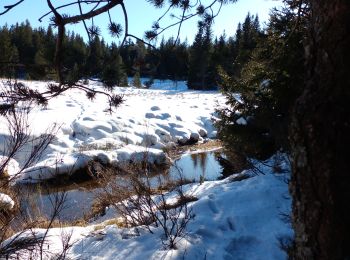 Randonnée Marche Bréau-Mars - lac des Pises - Photo