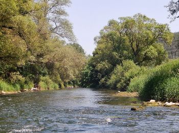 Tocht Te voet Horb am Neckar - Äußerer Alternativweg - Horb am Neckar - Weg-3 - Mühringen - Isenburg - Photo