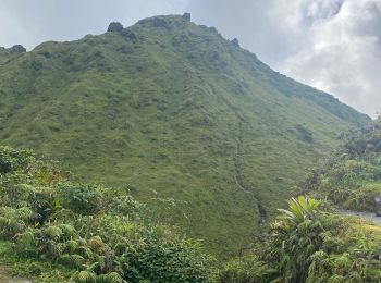 Randonnée Marche L'Ajoupa-Bouillon - Montagne pelée - Photo