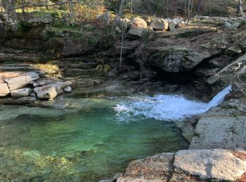 Tour Wandern Lucciana - lac de nino - Photo