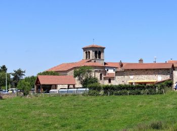 Excursión Senderismo Chambon-sur-Dolore - Chambon_Dolore_Autour - Photo