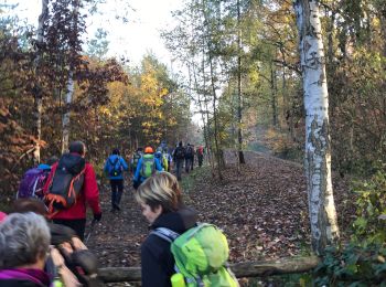 Percorso Marcia Scherpenheuvel-Zichem - Averbode 24 km - Photo