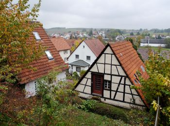 Tocht Te voet Aichtal - Aich - Harthausen - Photo