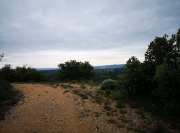 Tour Nordic Walking Saint-Ambroix - 05.05.20 piste - Photo