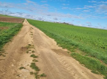 Randonnée Marche Vouthon-Haut - balade reco - Photo