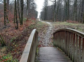 Randonnée Marche Bulgnéville - PR3 Bigneville étang des récollets . Contrexeville lac de conge - Photo