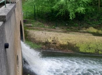 Percorso Mountainbike Limburgo - Paltop - Photo