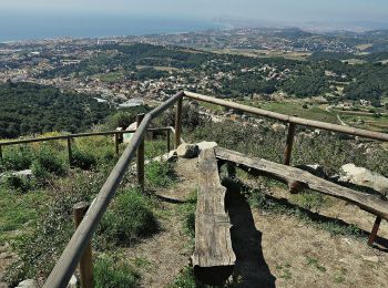 Trail On foot Teià - SL-C 111 Ruta del Vedat - Photo